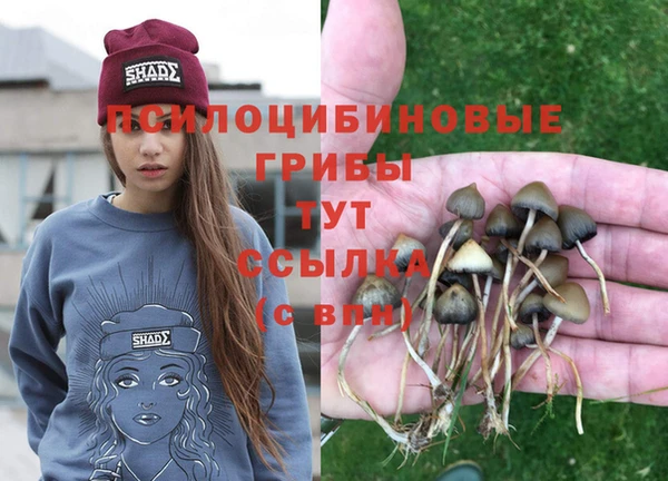 mix Няндома
