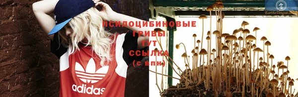 mix Няндома